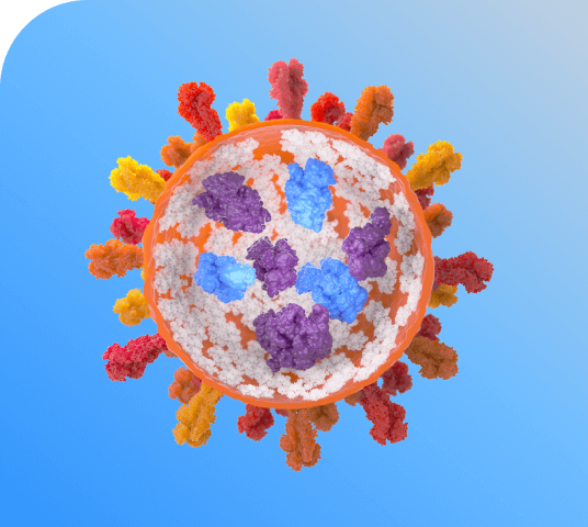 3D particle rendering of a protein, featuring details of the envelope structure